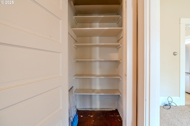 view of closet