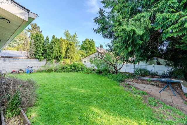 view of yard featuring a patio and a fenced backyard