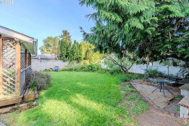 view of yard with a fenced backyard