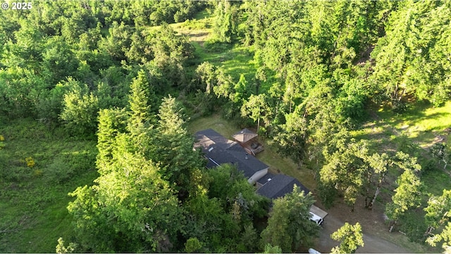 33385 Craig Loop, Cottage Grove, OR 97424 - aerial view of property's location with a forest