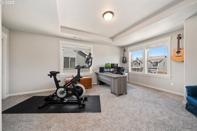 12209 Mimosa Way, Oregon City, OR 97045 - workout room featuring carpet, a raised ceiling, and baseboards
