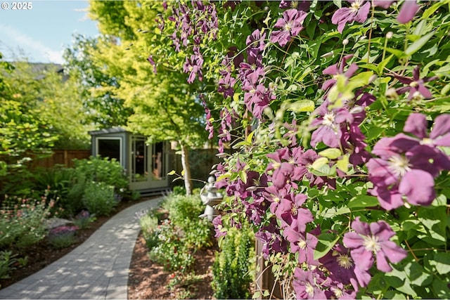 915 NE 36th Ave, Camas, WA 98607 - view of yard