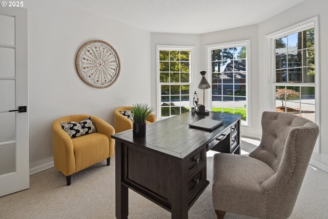 carpeted office with a healthy amount of sunlight