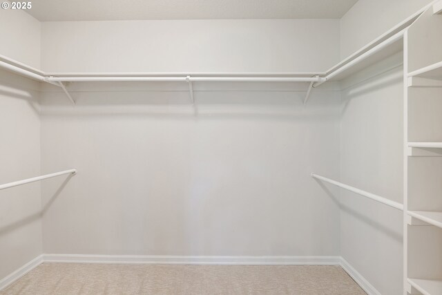 spacious closet with carpet