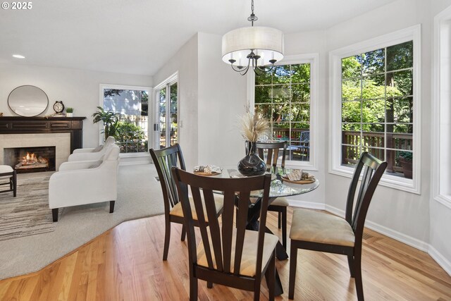 dining space featuring light hardwood / wood-style flooring and a wealth of natural light