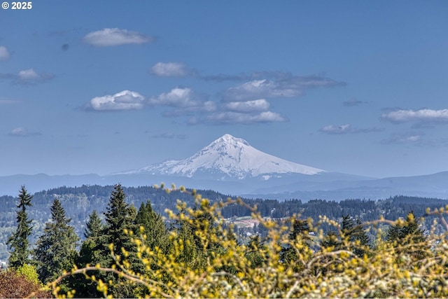 property view of mountains