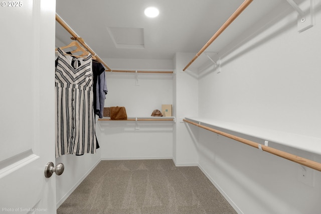 1033 Sommerville Loop, Harrisburg, OR 97446 - walk in closet with carpet floors and attic access