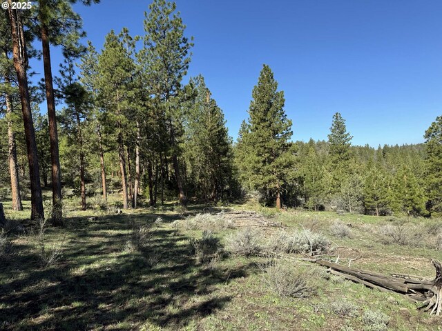 Drews Gap Rd Unit Tl 1300, Lakeview, OR 97630