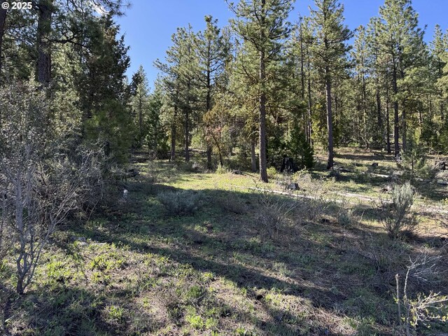 Drews Gap Rd Unit Tl 1300, Lakeview, OR 97630
