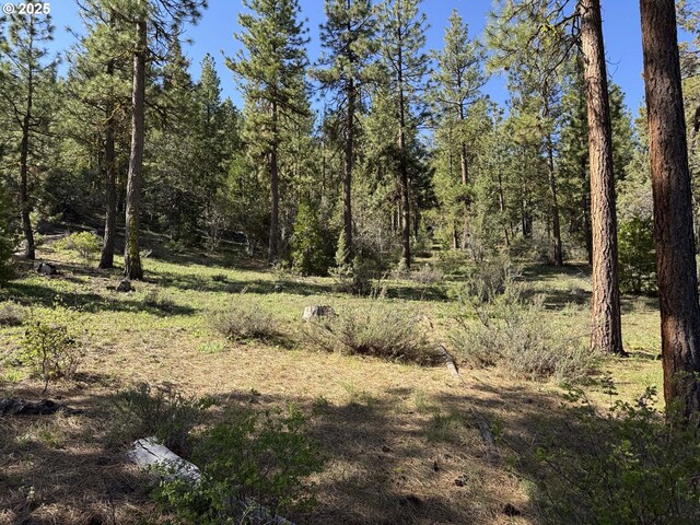 Drews Gap Rd Unit Tl 1300, Lakeview, OR 97630