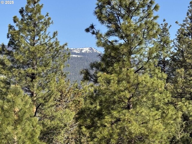 Drews Gap Rd Unit Tl 1300, Lakeview, OR 97630