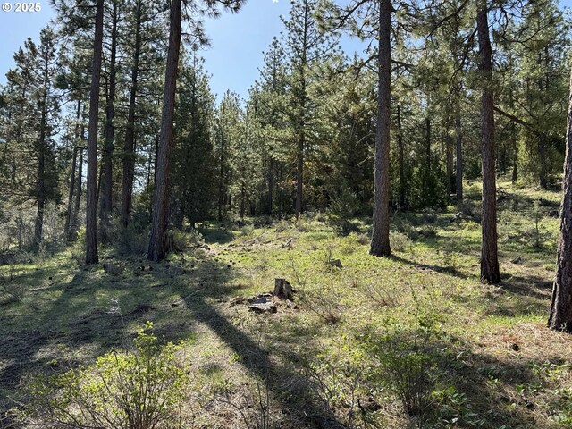 Drews Gap Rd Unit Tl 1300, Lakeview, OR 97630