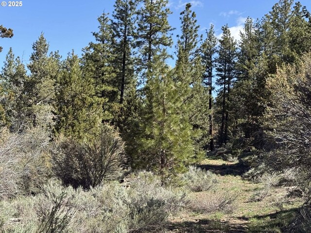 Drews Gap Rd Unit Tl 1300, Lakeview, OR 97630
