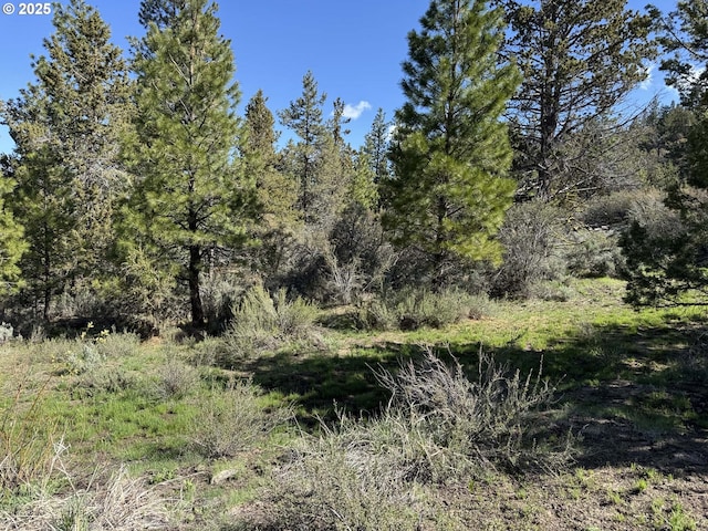 Drews Gap Rd Unit Tl 1300, Lakeview, OR 97630