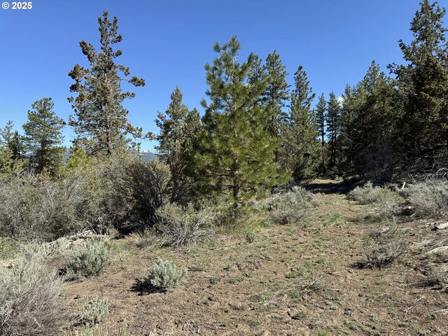 Drews Gap Rd Unit Tl 1300, Lakeview, OR 97630