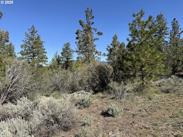 Drews Gap Rd Unit Tl 1300, Lakeview, OR 97630