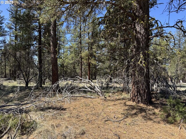 Drews Gap Rd Unit Tl 1300, Lakeview, OR 97630