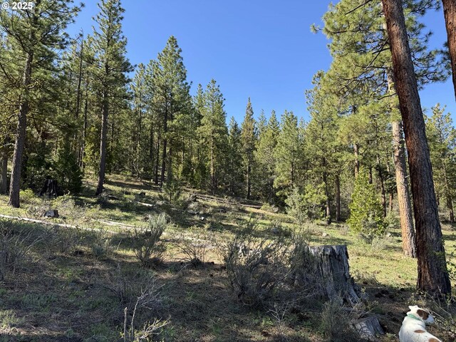 Drews Gap Rd Unit Tl 1300, Lakeview, OR 97630