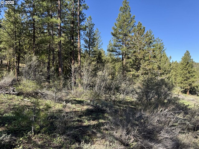Drews Gap Rd Unit Tl 1300, Lakeview, OR 97630