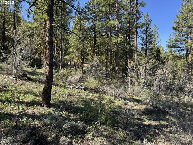 Drews Gap Rd Unit Tl 1300, Lakeview, OR 97630