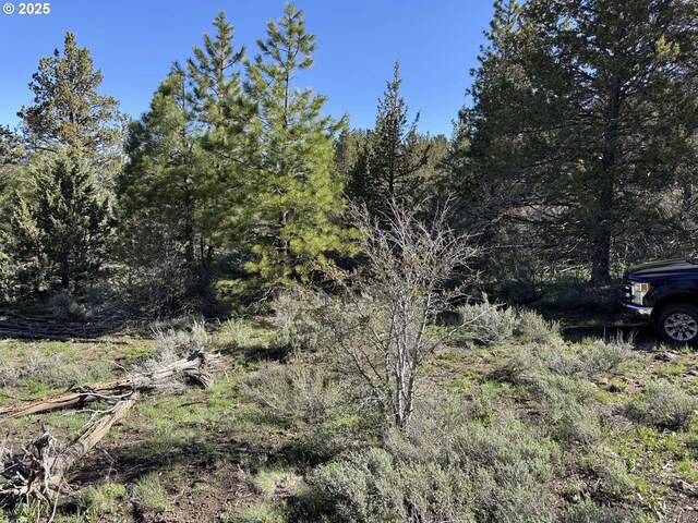 Drews Gap Rd Unit Tl 1300, Lakeview, OR 97630
