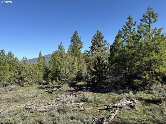 Drews Gap Rd Unit Tl 1300, Lakeview, OR 97630