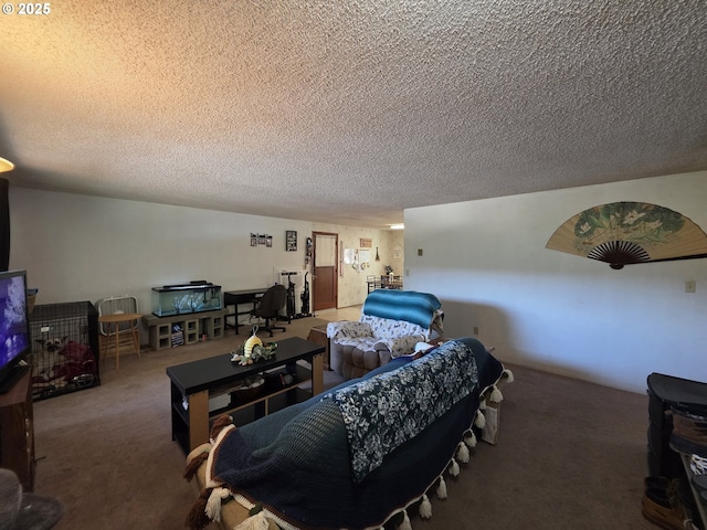 4545 Ridenour St, Roseburg, OR 97470 - carpeted living area featuring a textured ceiling