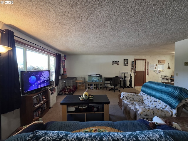 4545 Ridenour St, Roseburg, OR 97470 - carpeted living area with a textured ceiling