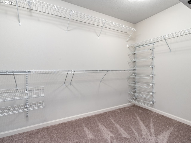 6820 N 89th Loop, Camas, WA 98607 - walk in closet featuring carpet flooring