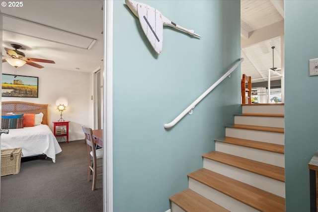 stairs featuring attic access, a ceiling fan, beam ceiling, and carpet