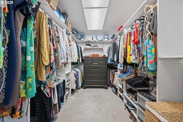 spacious closet featuring carpet floors