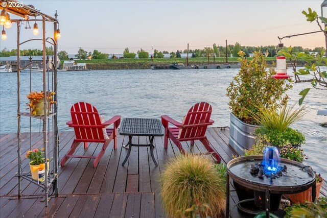 dock area with a water view