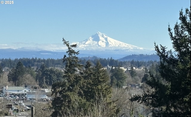 property view of mountains