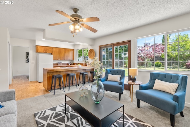 living room featuring a textured ceiling, plenty of natural light, a ceiling fan, and light colored carpet