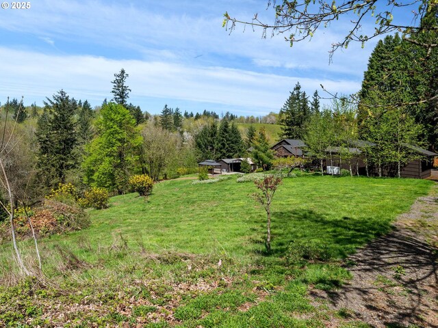6229 NW Skyline Blvd, Portland, OR 97229 - view of yard