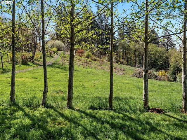 6229 NW Skyline Blvd, Portland, OR 97229 - view of yard