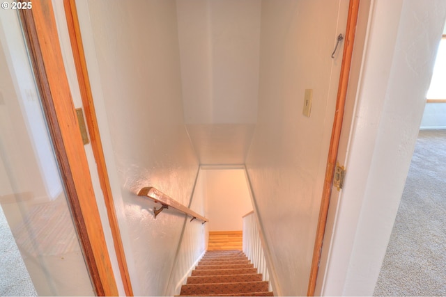 stairway featuring carpet and a textured wall