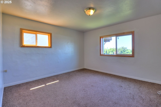 spare room with plenty of natural light, carpet flooring, and baseboards