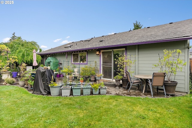 back of house with a patio, a lawn, and a shingled roof