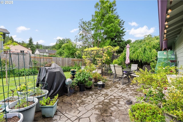 fenced backyard featuring a patio, outdoor dining area, and area for grilling