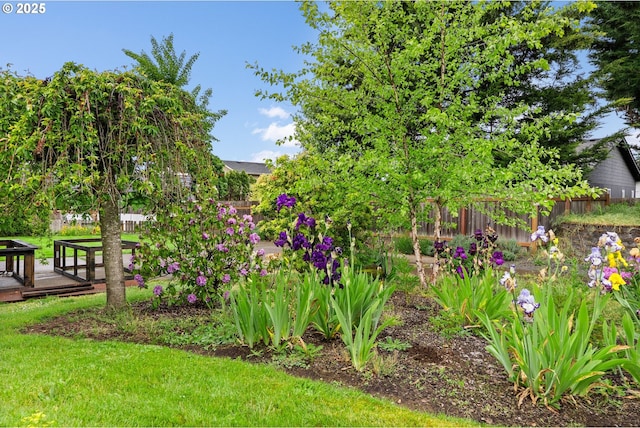 view of yard featuring a wooden deck