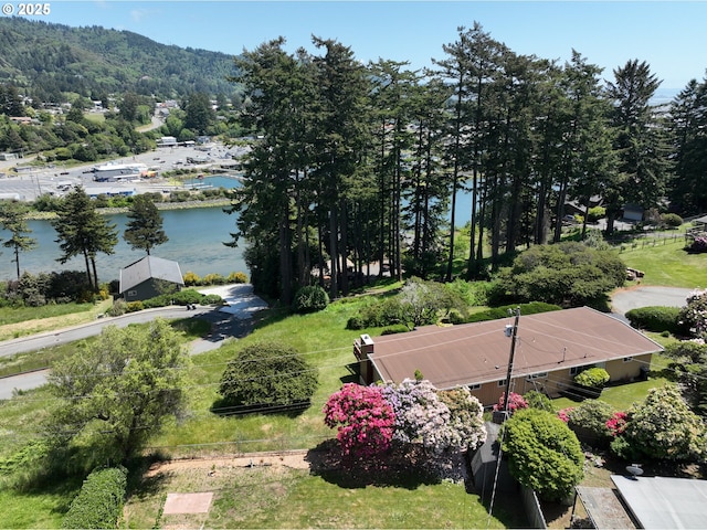 337 Spruce Dr, Brookings, OR 97415 - bird's eye view of a nearby body of water