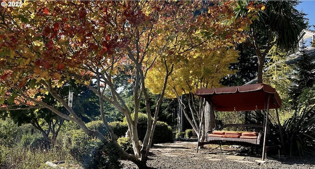 view of yard featuring a carport