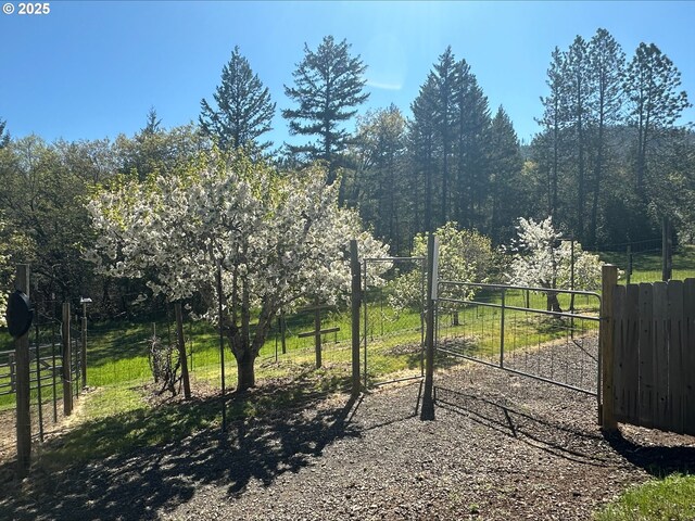3115 Deer Trail Ln, Medford, OR 97501 - view of yard with a wooded view, a rural view, and a mountain view