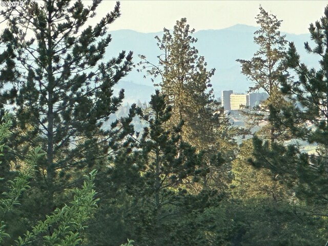 3115 Deer Trail Ln, Medford, OR 97501 - view of mountain feature
