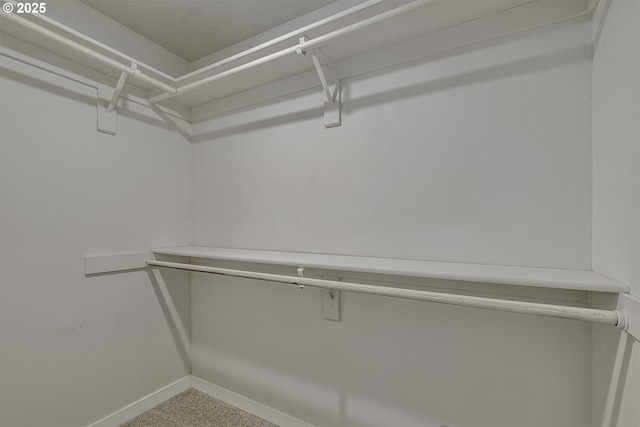 spacious closet with carpet flooring