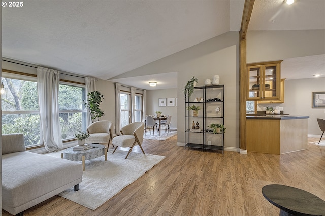 living area with vaulted ceiling, baseboards, light wood finished floors, and a textured ceiling