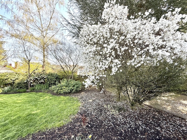 view of yard with fence