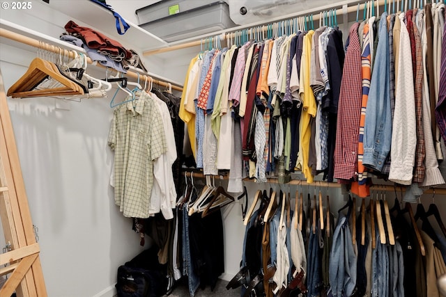 spacious closet with carpet