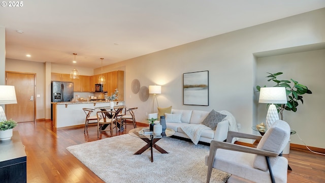 living room featuring light hardwood / wood-style flooring